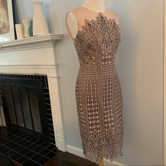 BCBG MaxAzria blush & black lace dress NEW nude - Picture 16 of 16